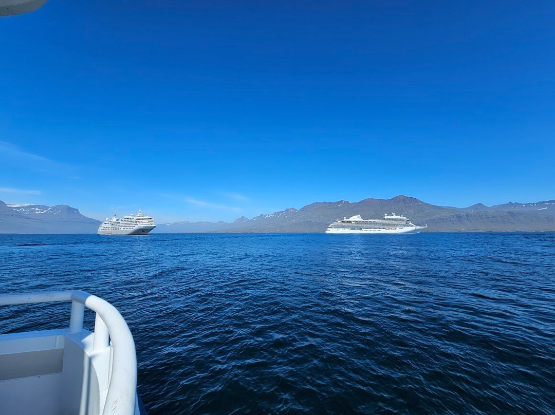 Voxey Trips-Djupivogur必去景点