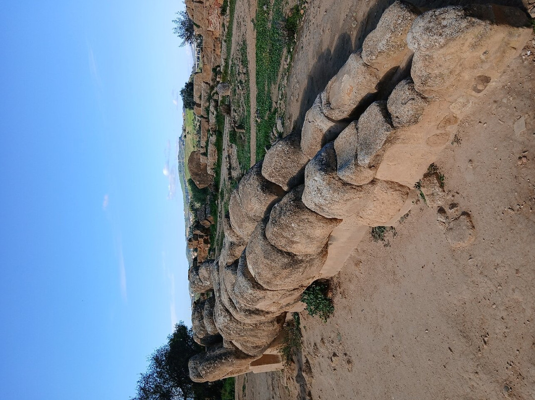 Agriturismo Passo dei Briganti主图