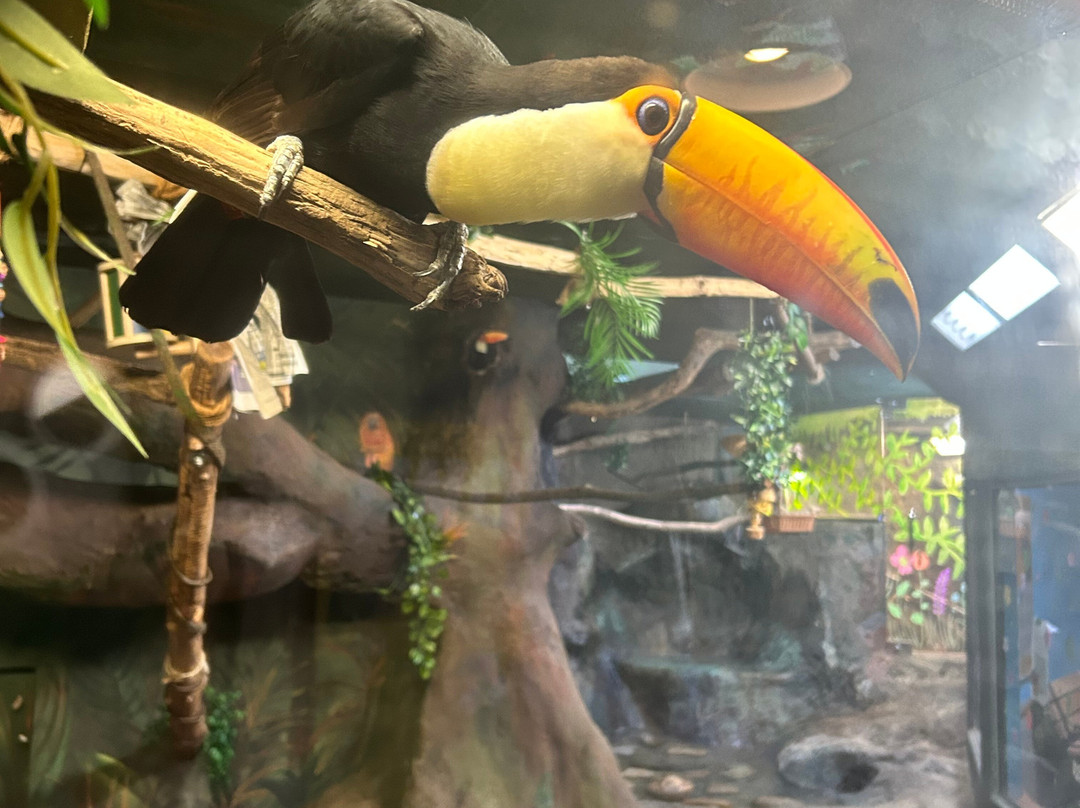 Boonshoft Museum of Discovery-代顿必去景点