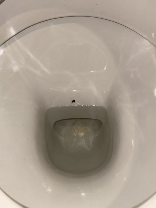 宜必思快捷戈斯福德酒店-官方