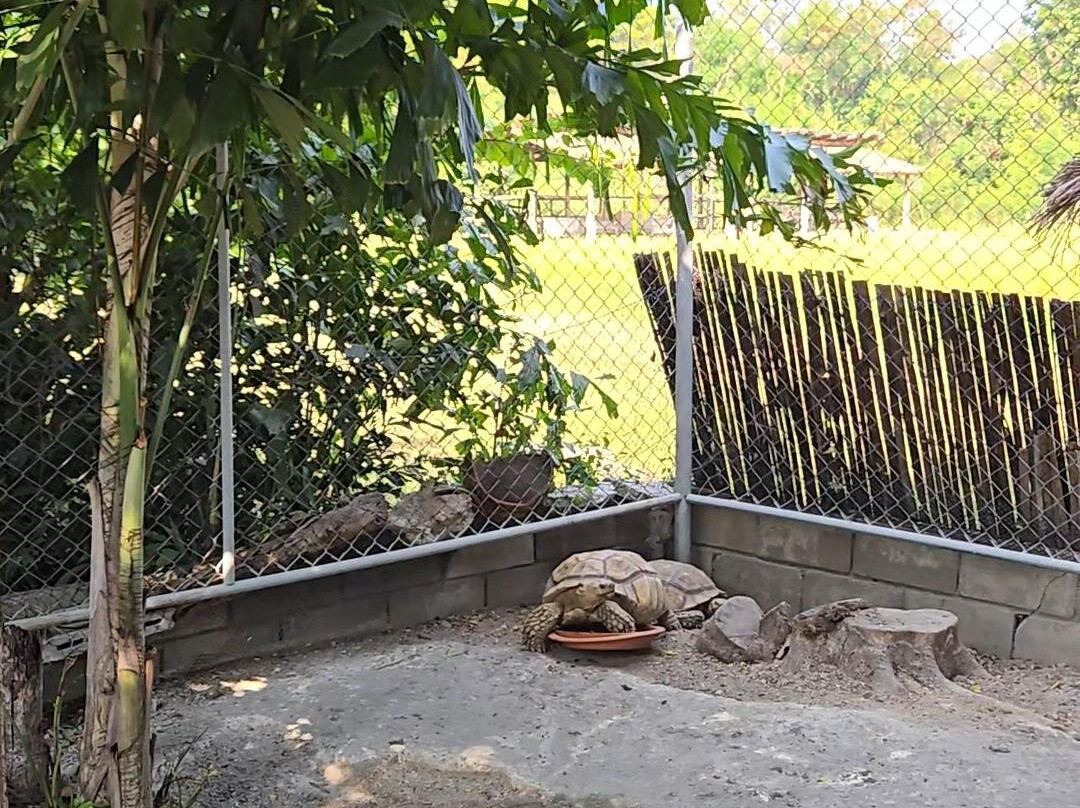 华欣杜斯特塔尼酒店主图