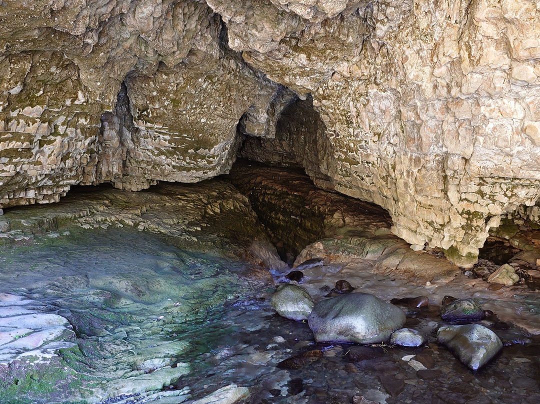 Cave Stream Scenic Reserve-Castle Hill必去景点