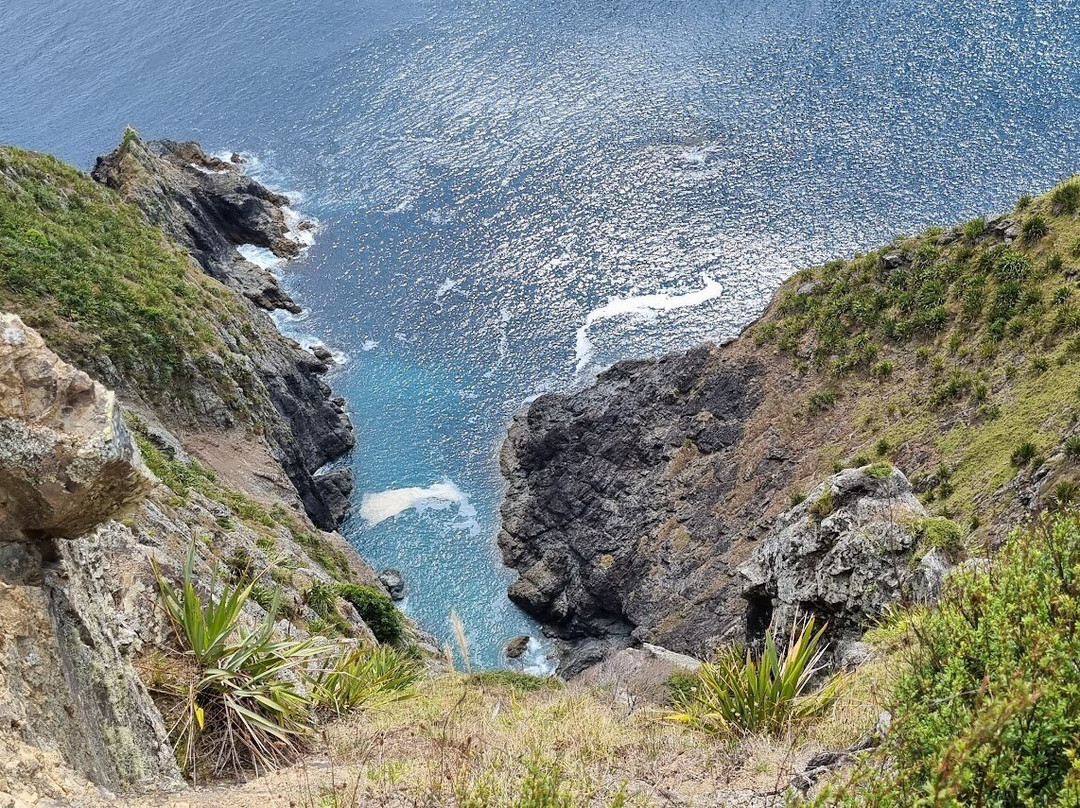 Cape Brett Walkway景点图片