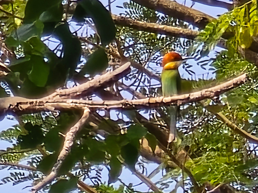 娜娜水疗中心和度假村主图
