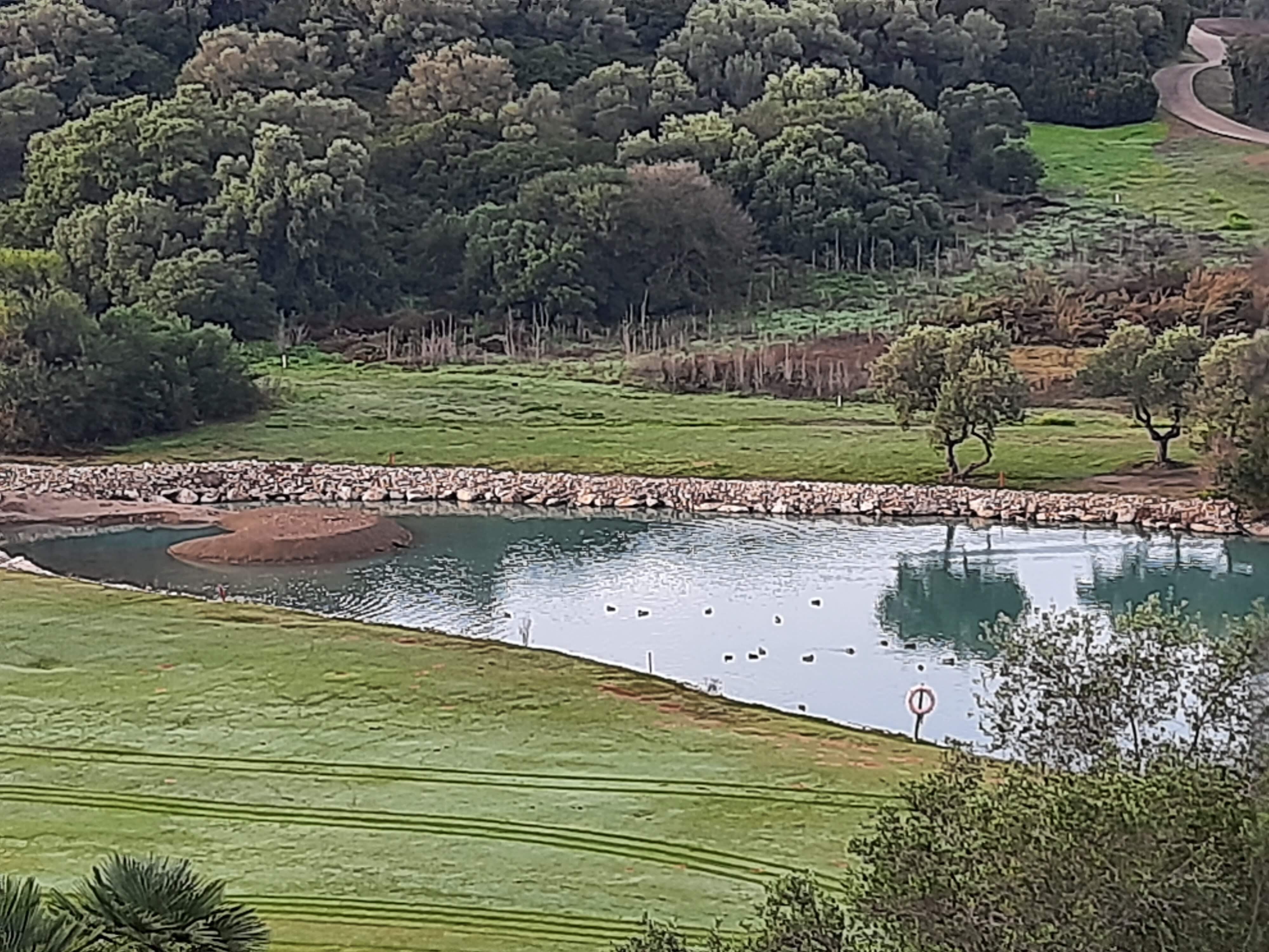 Barceló Montecastillo Golf-酒店景观