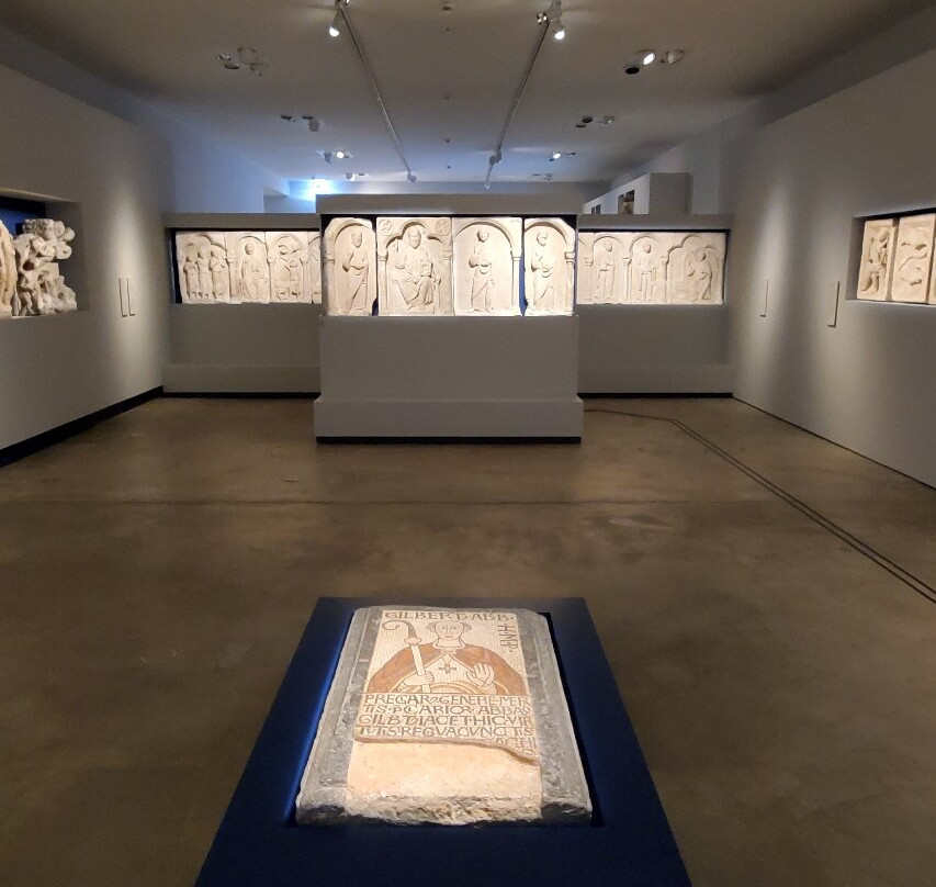 Rheinisches Landesmuseum Bonn-波恩必去景点