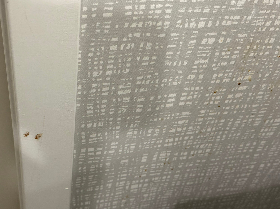 Hampton Inn Glendale Milwaukee主图