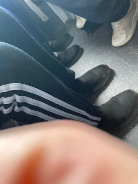 Falkland Islands Tour & Travel-Stanley必去景点