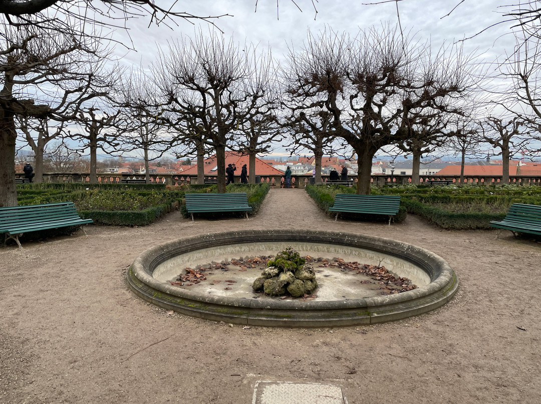 Rose Garden at the New Residenz景点图片