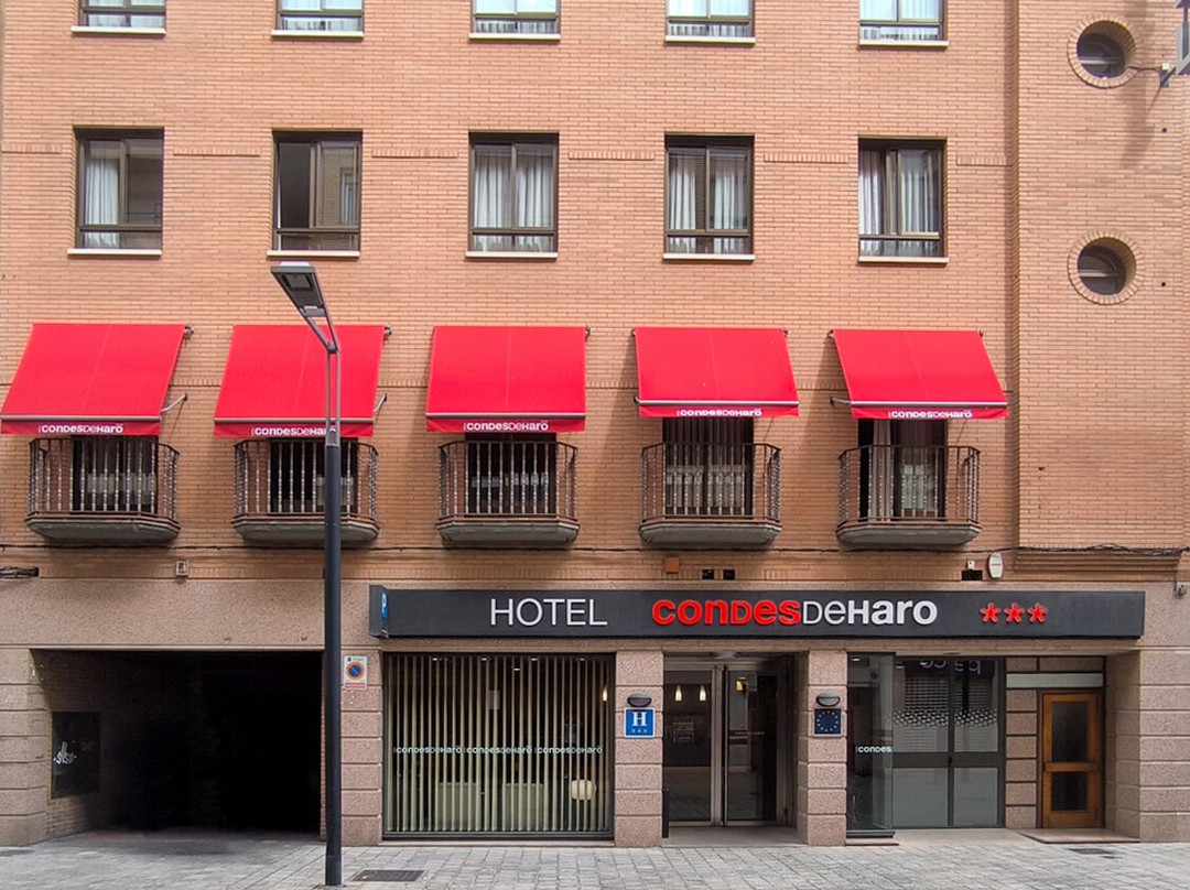 洛格罗尼奥酒店住宿-Hotel Condes de Haro