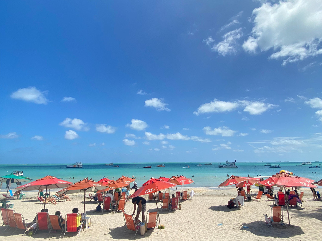 Maré Viva Passeios Turísticos-Maceio必去景点