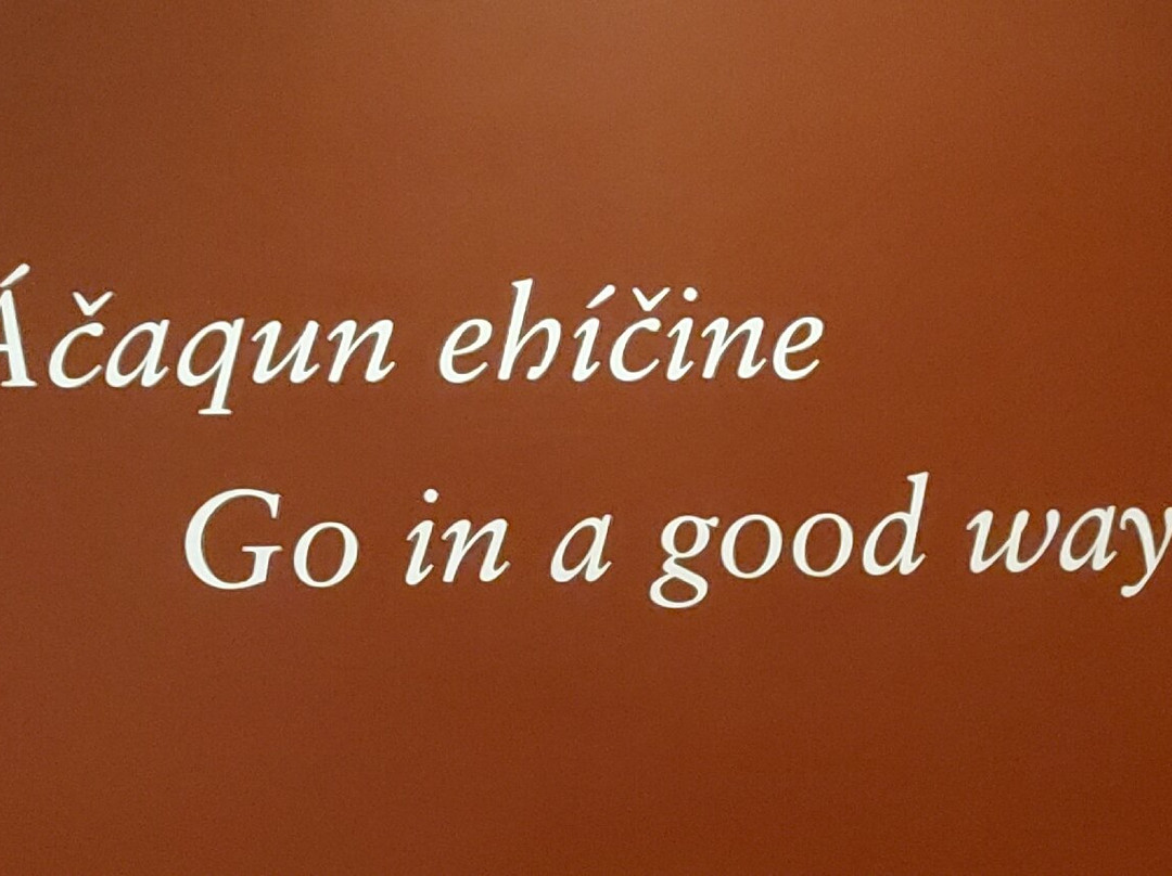 Agua Caliente Cultural Museum-棕榈泉市必去景点