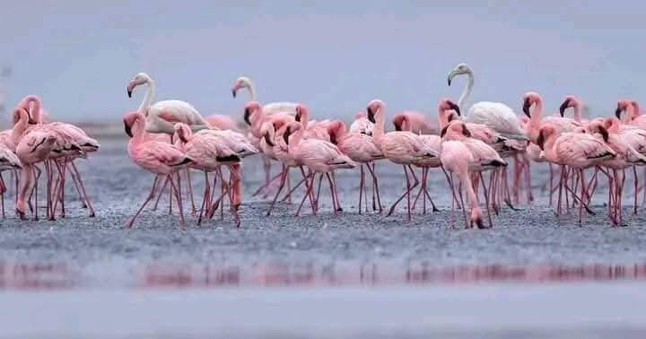 Lake Simbi Nyaima-Homa Bay必去景点