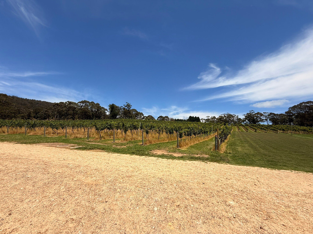 Artemis Wines-Mittagong必去景点