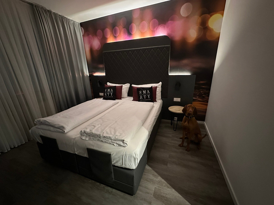SMARTY Hotel Euler Homburg Saar主图