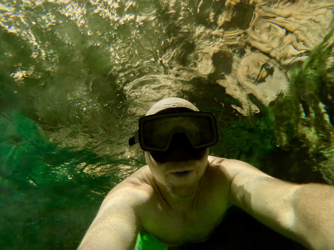 Monkeys Atvs Cancun-从莫雷洛斯港必去景点