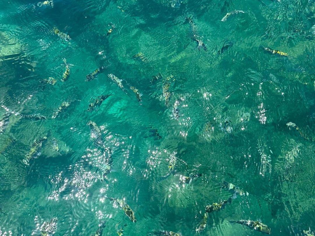 Akeemyvibetours-蒙特戈贝必去景点