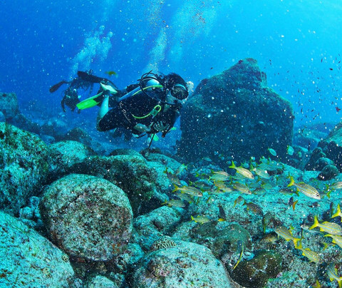 Sea Paradise-费尔南多-迪诺罗尼亚群岛必去景点