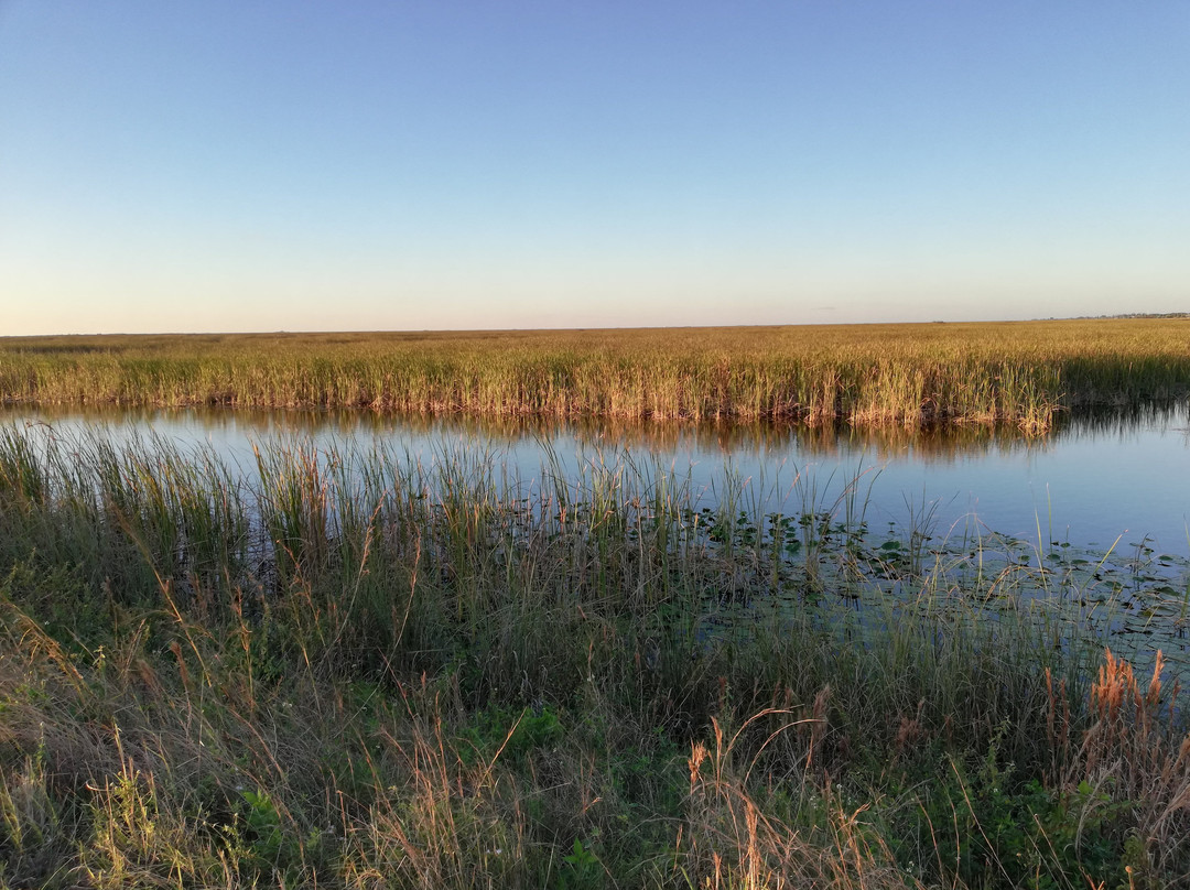 Sawgrass Trailhead At Atlantic Boulevard-Tamarac必去景点