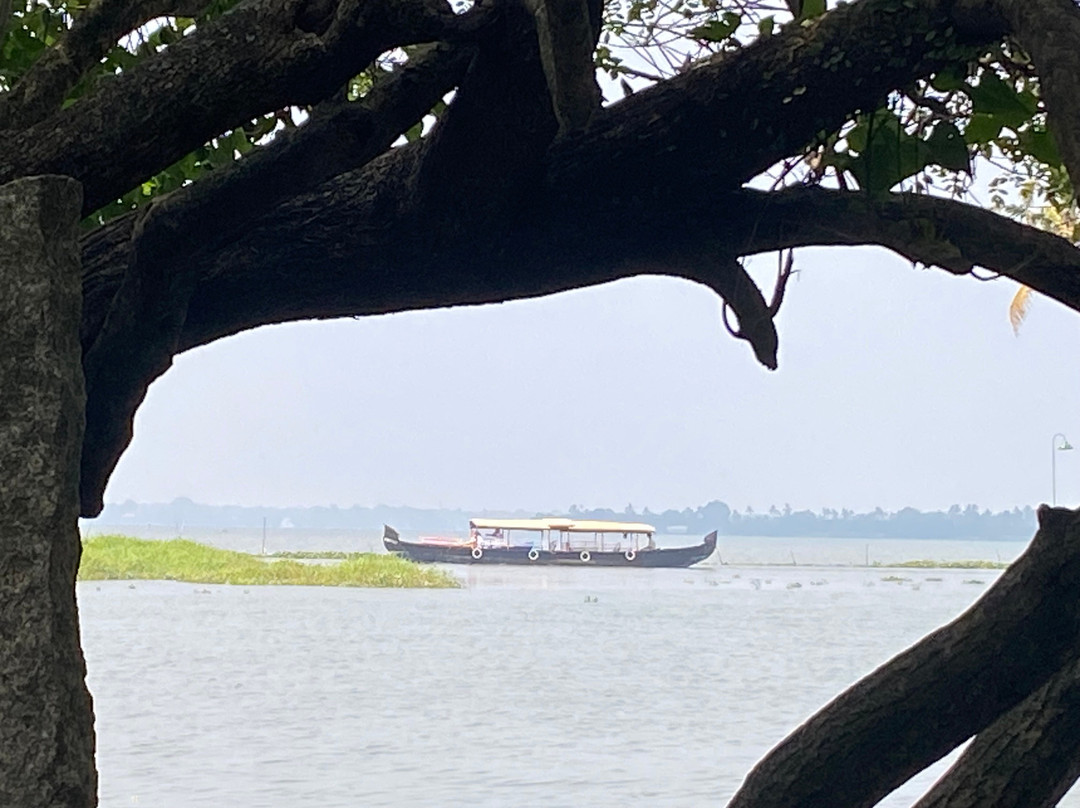 Kumarakom Bird Sanctuary景点图片