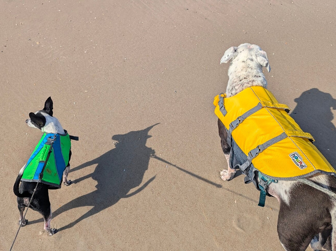Crescent Beach Public Beach-Crescent Beach必去景点