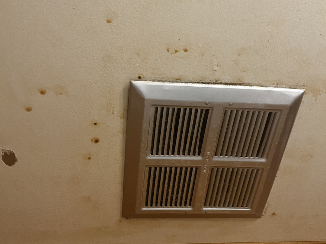 Pinewood Motor Inn主图