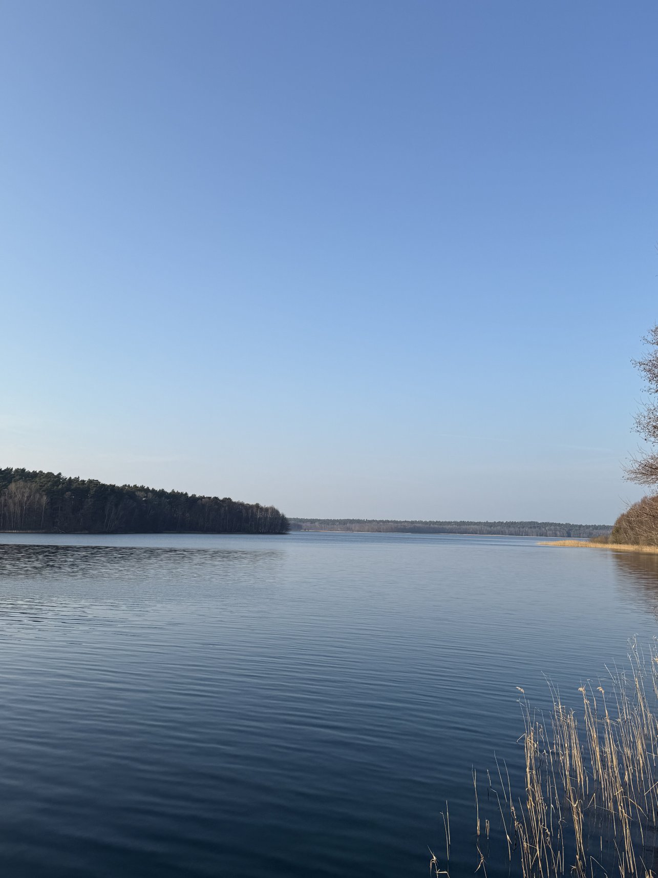 德雷威特兹范德瓦克自然度假村-官方