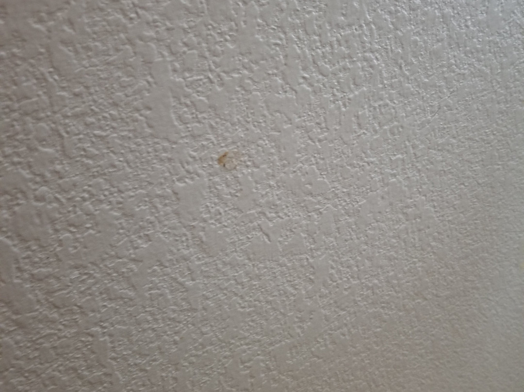 Comfort Inn New River主图