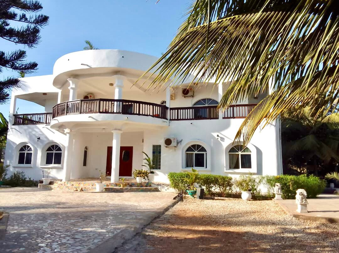 Hibiscus Whitehouse