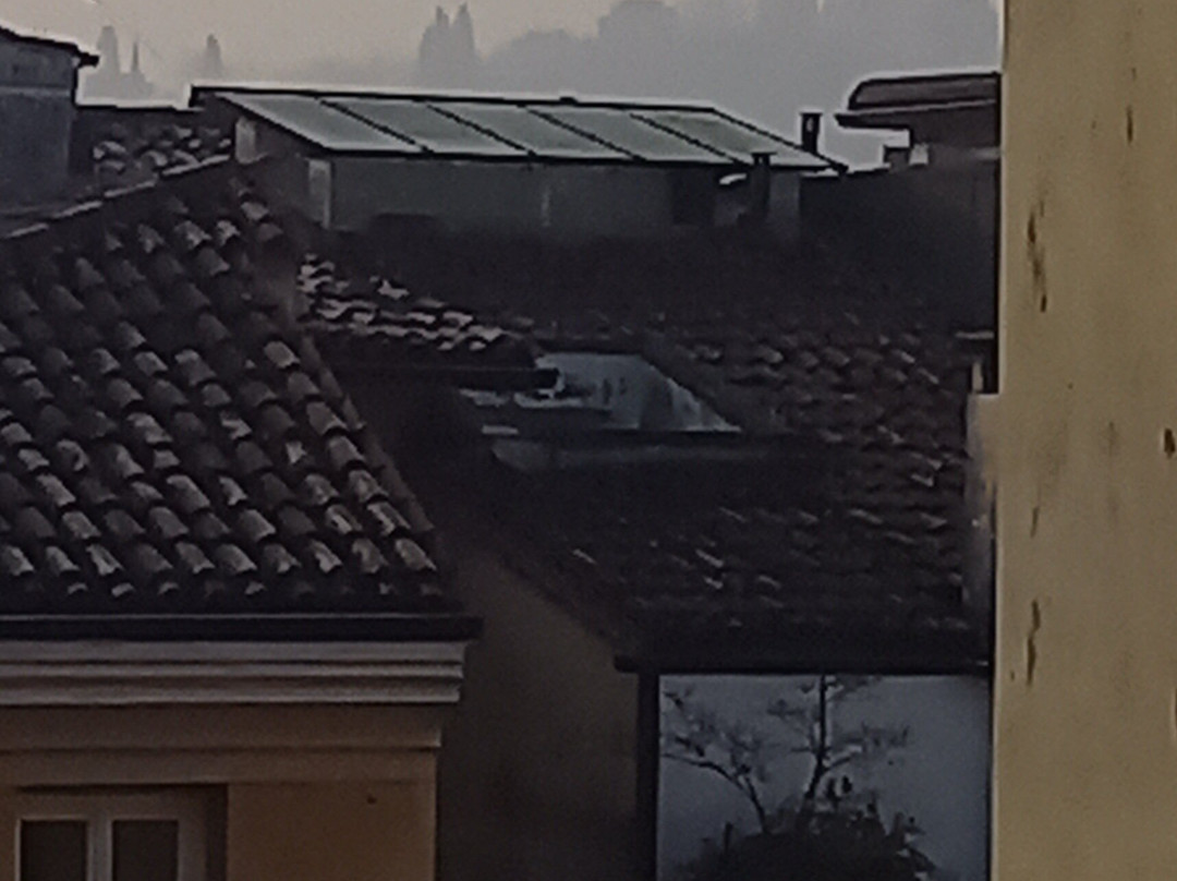Palazzo Scamozzi主图