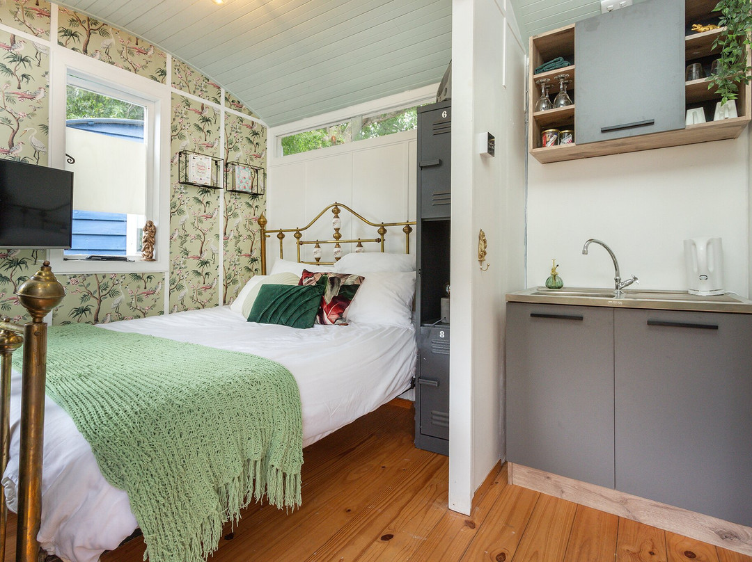 Caledon Grace Guesthouse主图