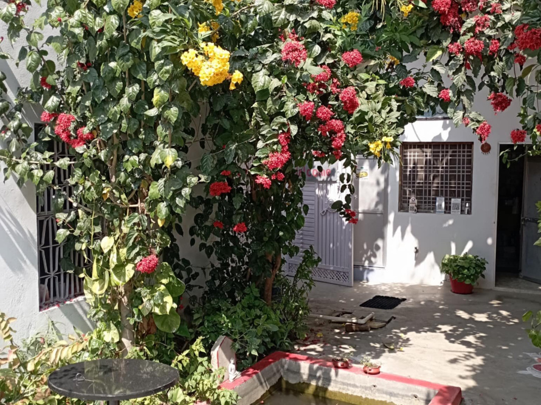 The Highvill Home Stay主图