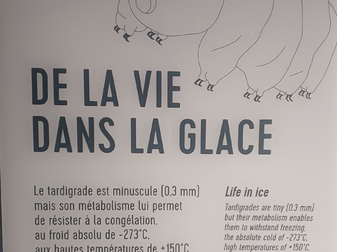 Grotte de Glace-霞慕尼必去景点