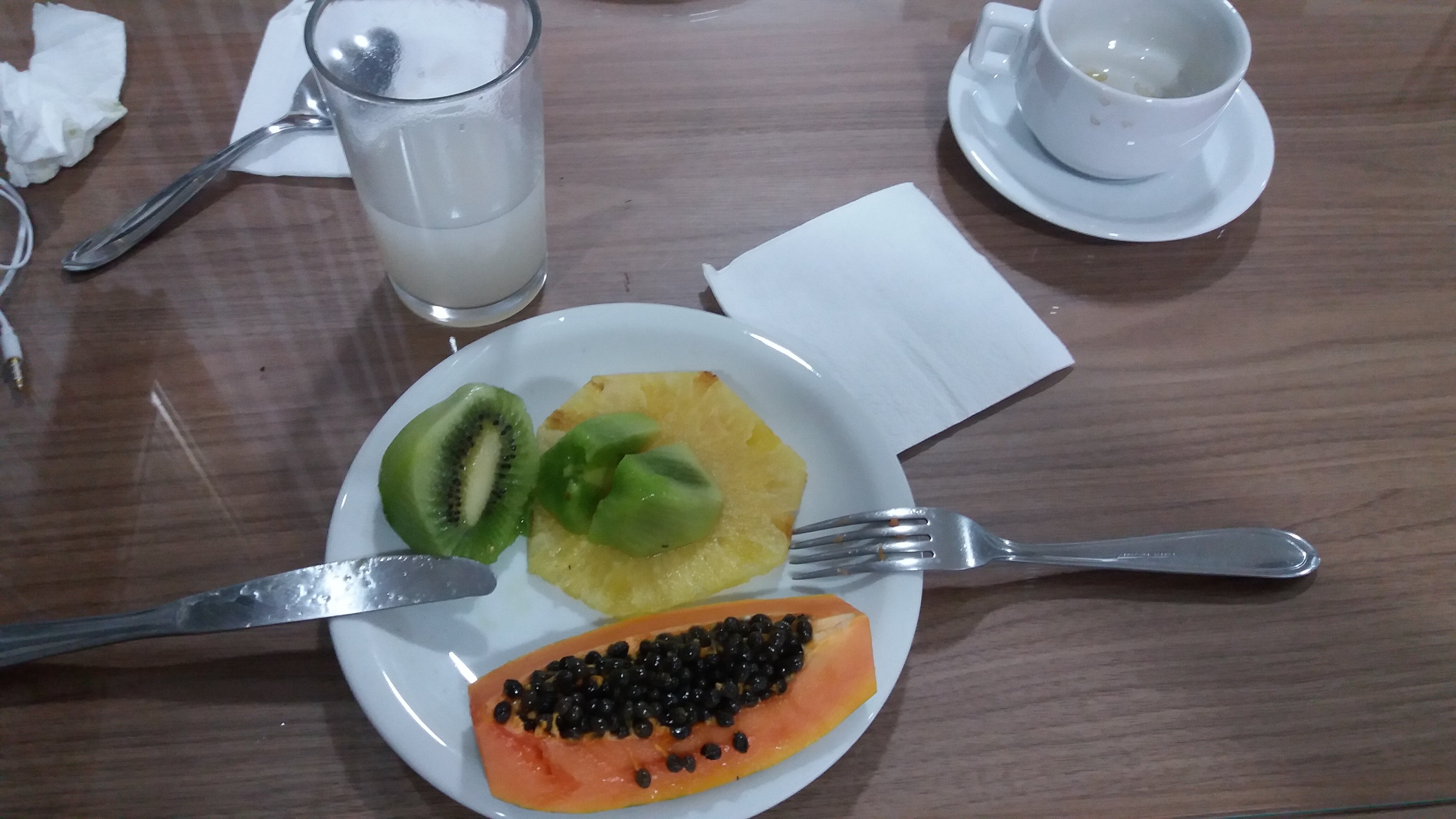 Valeriu's Palace Hotel-官方