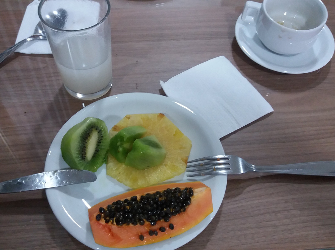 Valeriu's Palace Hotel主图