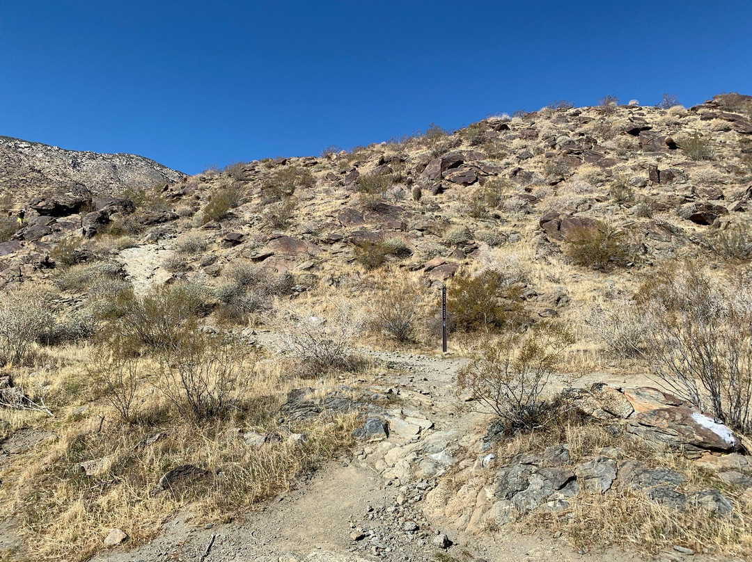 North Lykken Trail-棕榈泉市必去景点