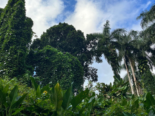 H and J Island Adventures-法哈多必去景点