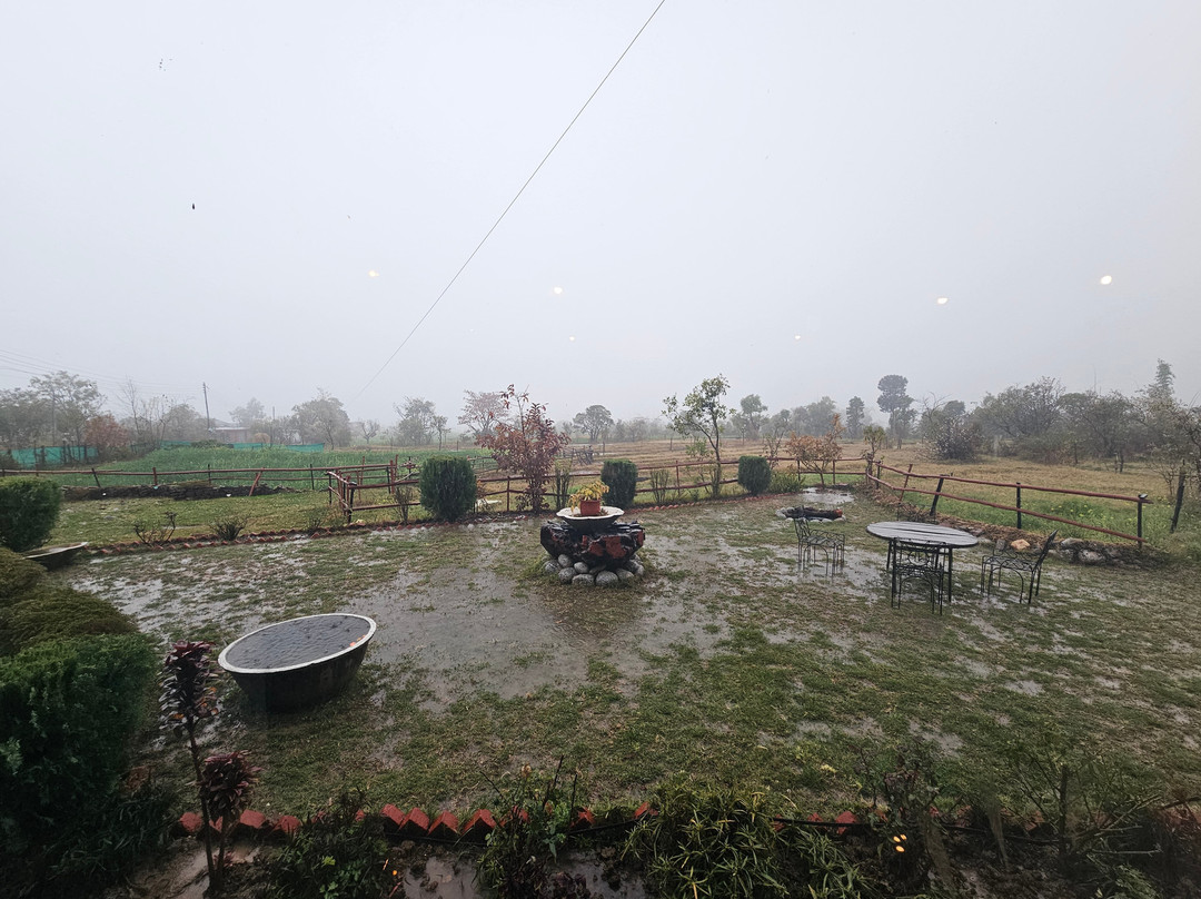 Seclude Palampur主图