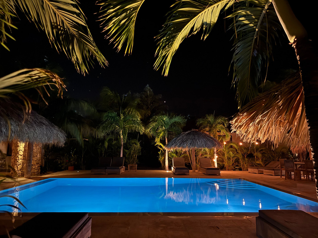 Windhoek Boutique Resort Bonaire主图