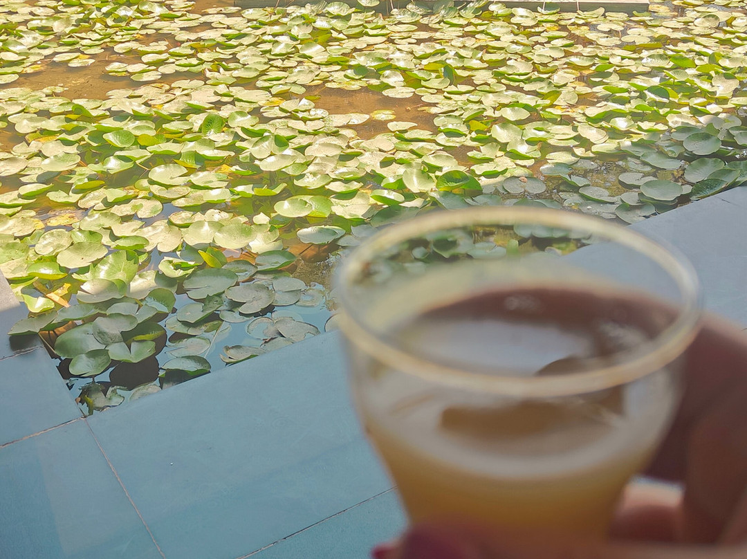 MYSA Zinc Journey by The Fern, Nani Devati, Gujarat主图