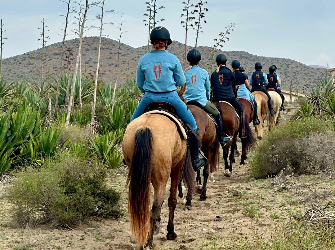 Cabacci Horse Trails景点图片