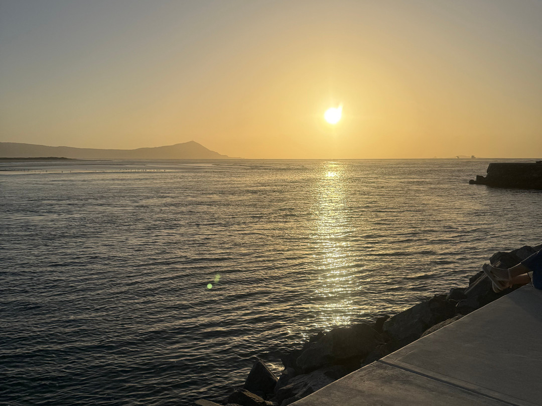 Estero Beach Hotel & Resort主图