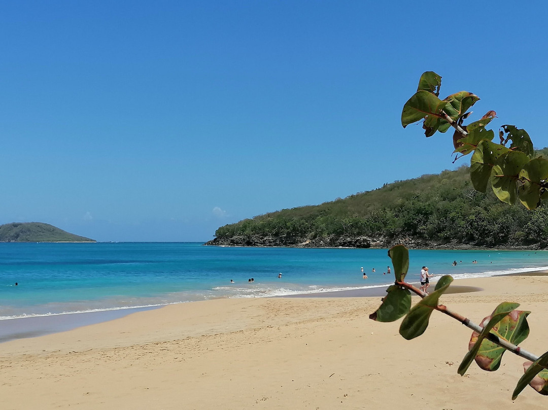Plage de la Perle-Rifflet必去景点