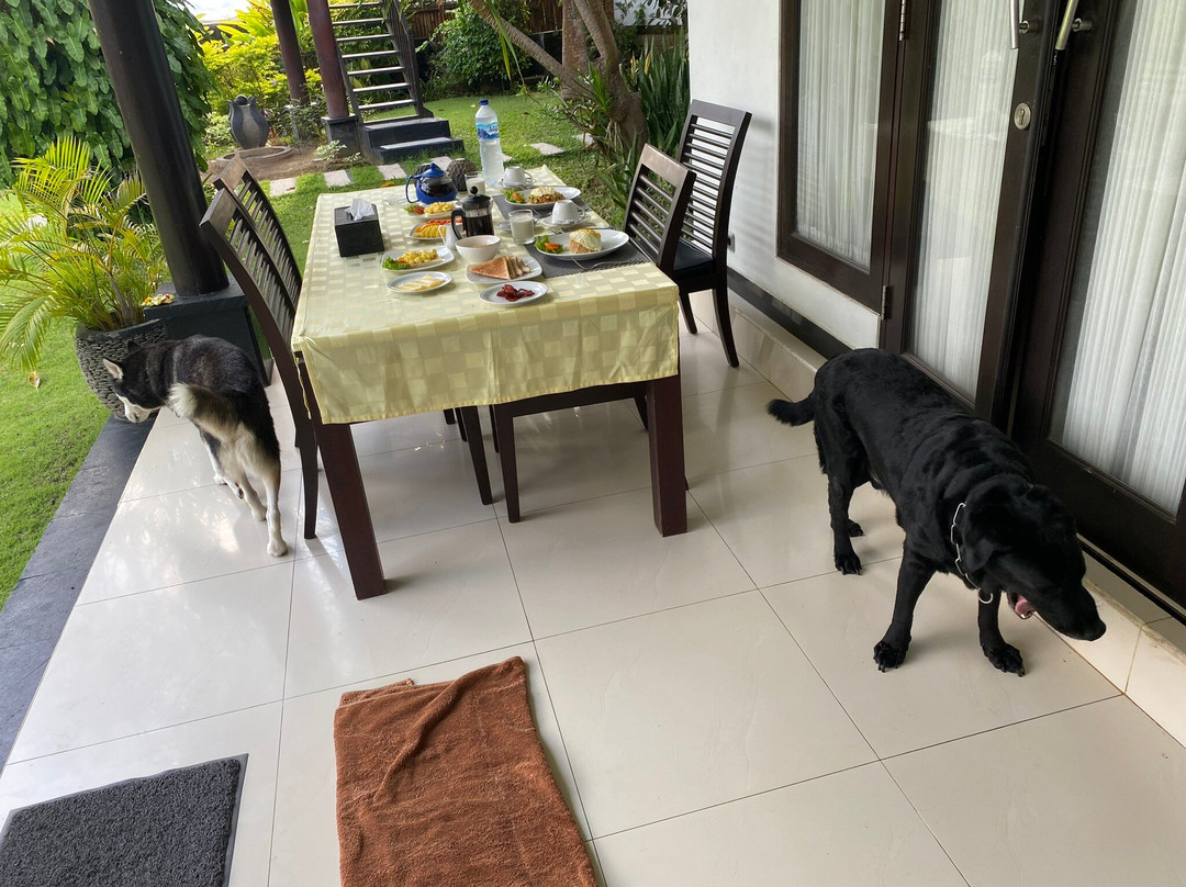 Villa L'Orange Bali主图