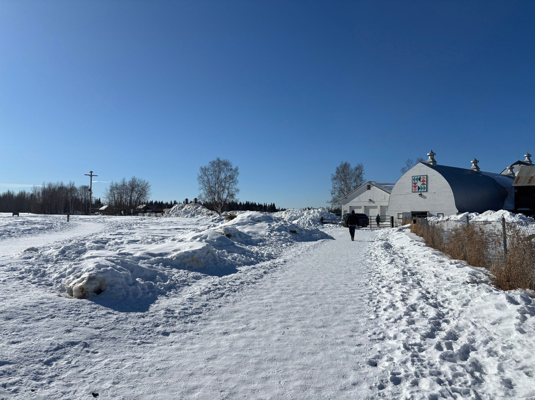 Creamer's Field Migratory Waterfowl Refuge-费尔班克斯必去景点