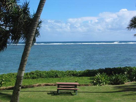 琪琪的天堂主图