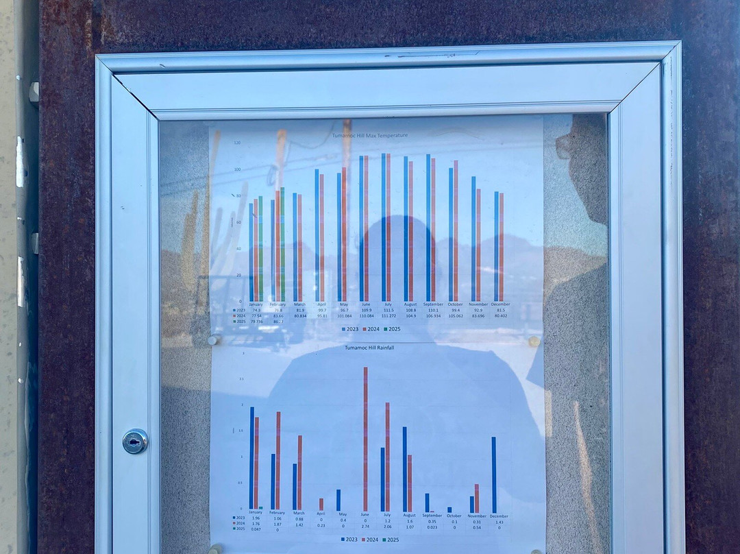 Tumamoc Hill-图森必去景点