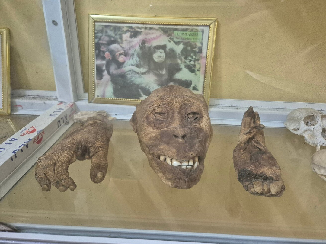 Association Afric Art-阿比让必去景点