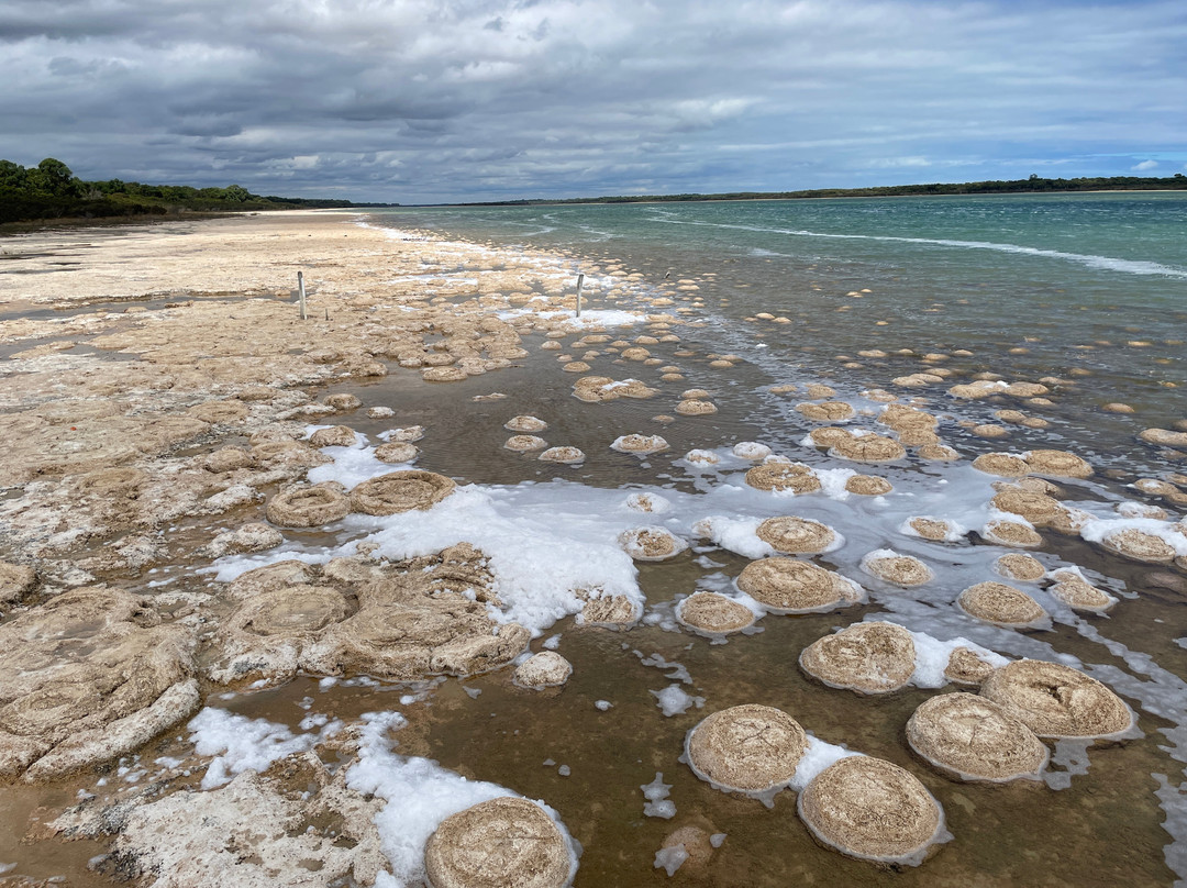 Yalgorup National Park-曼杜拉必去景点