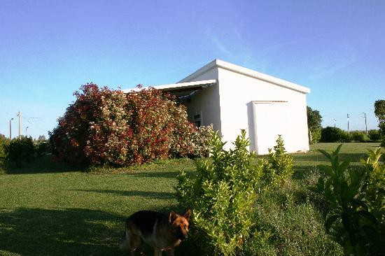 Agriturismo casa Panetta主图